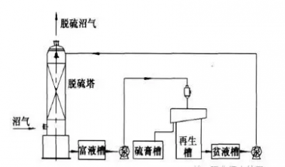 家水泥企业上榜2020年《财富》中国500强